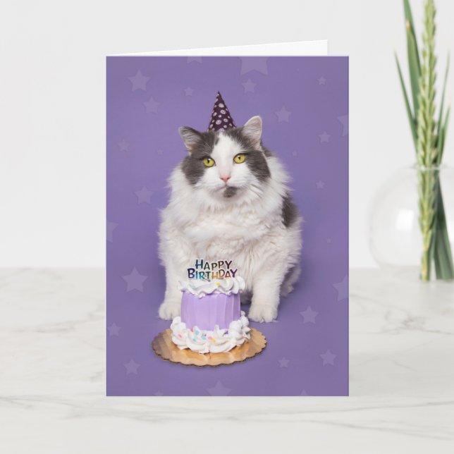 Tarjeta Festiva Feliz Cumpleaños Gato Graso con Humor De Pastel (Anverso)