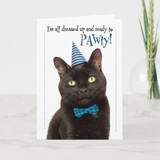 Tarjeta Festiva Feliz Cumpleaños Gato Lindo con Sombrero de Fiesta (Anverso)