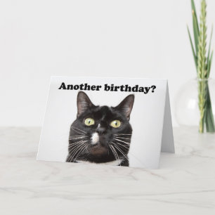 Tarjeta Festiva Feliz cumpleaños, gracioso gato en tu humor facial