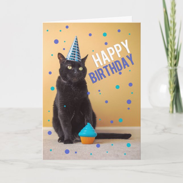 Tarjeta Festiva Feliz cumpleaños, humor de Fiesta de gatos que dis (Anverso)