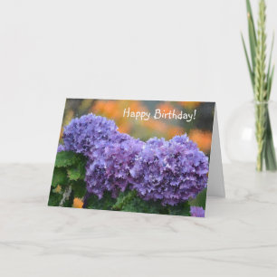 Tarjeta Festiva Feliz cumpleaños Impresionante Púrpura Hydrangea