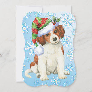 Tarjeta Festiva Feliz cumpleaños Kooikerhondje