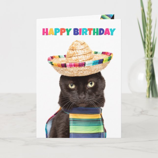 Tarjeta Festiva Feliz cumpleaños lindo gato negro en Sombrerro (Anverso)