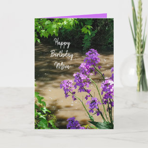 Tarjeta Festiva Feliz cumpleaños mamá flores moradas y transmisión