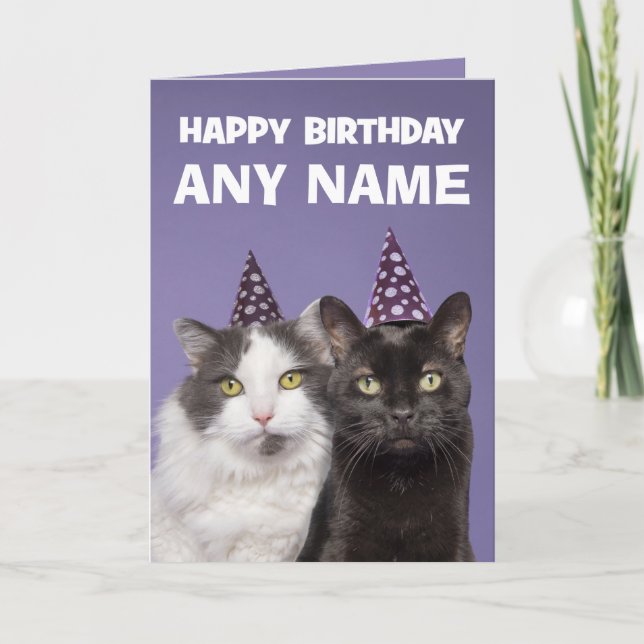 Tarjeta Festiva Feliz cumpleaños, nombre personalizado, gatos dive (Anverso)