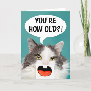 Tarjeta Festiva Feliz Cumpleaños Para Cualquier Gato Divertido