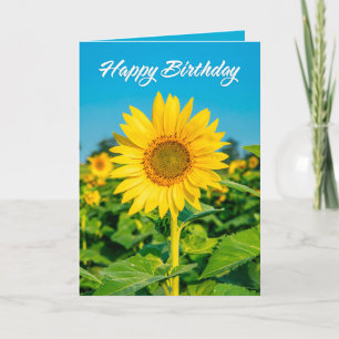 Tarjeta Festiva Feliz Cumpleaños Para Cualquiera Que Sea Hermoso G