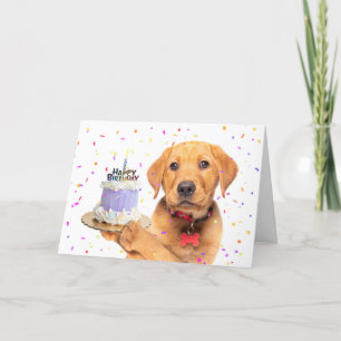 Tarjeta Festiva Feliz Cumpleaños Para Cualquiera Que Tenga Un Cump