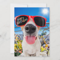 Feliz cumpleaños, perro Dawg con gafas de sol