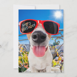 Tarjeta Festiva Feliz cumpleaños, perro Dawg con gafas de sol