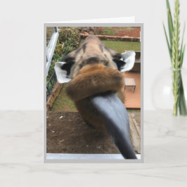 Tarjeta Festiva Feliz cumpleaños, Wildlife Kiss