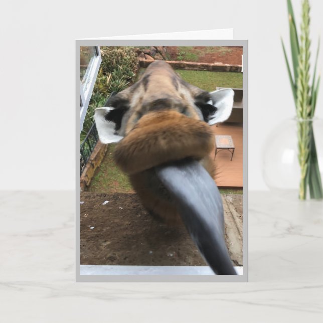 Tarjeta Festiva Feliz cumpleaños, Wildlife Kiss (Anverso)