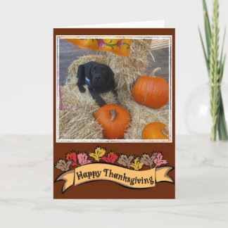 Tarjeta Festiva Feliz Día de Acción de Gracias