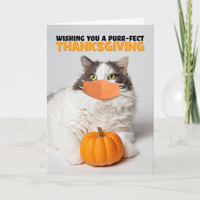 Tarjeta Festiva Feliz Día de Acción de Gracias a un gato gatito en (Anverso)