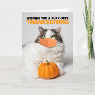 Tarjeta Festiva Feliz Día de Acción de Gracias a un gato gatito en