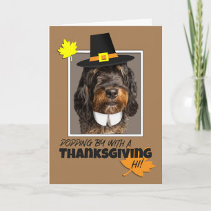 Tarjeta Festiva Feliz Día de Acción de Gracias Bernedoodle Dog en