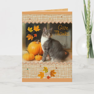 Tarjeta Festiva Feliz Día de Acción de Gracias con gatos y calabaz