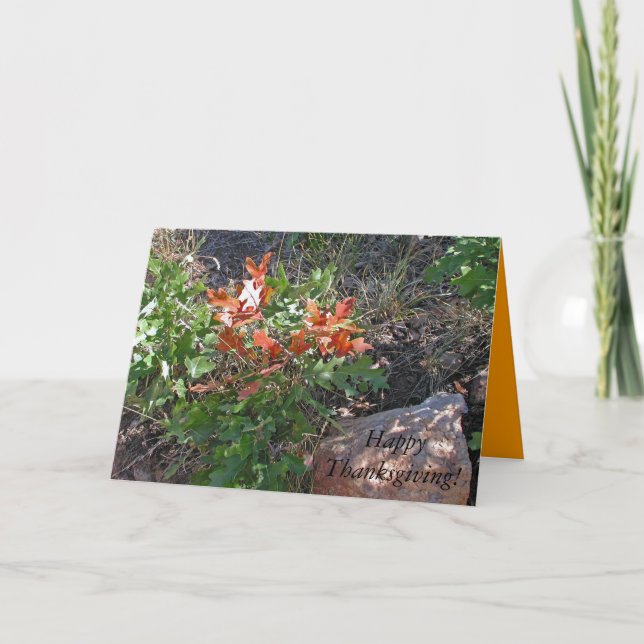 Tarjeta Festiva ¡Feliz Día de Acción de Gracias! de Janz (Anverso)