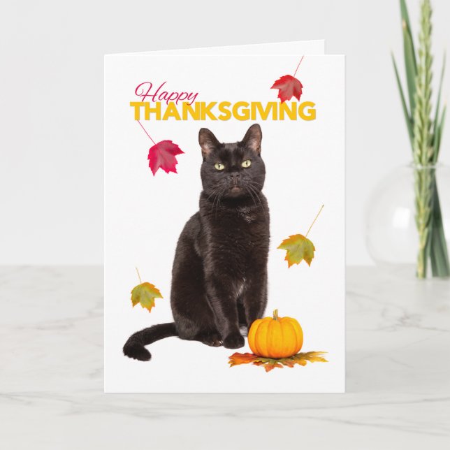 Tarjeta Festiva Feliz Día de Acción de Gracias felino negro con ho (Anverso)