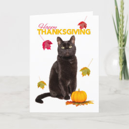 Tarjeta Festiva Feliz Día de Acción de Gracias Lindos Gatos Negros