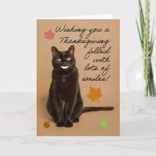Tarjeta Festiva Feliz Día de Acción de Gracias para cualquier gato