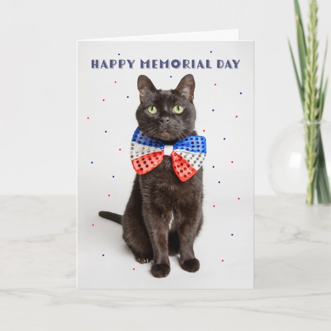 Tarjeta Festiva Feliz Día de Conmemoración de un lindo gato patrió (Anverso)
