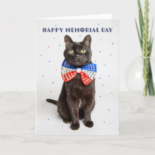 Tarjeta Festiva Feliz Día de Conmemoración de un lindo gato patrió