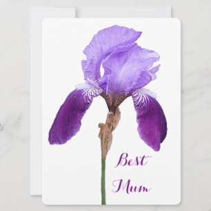 Tarjeta Festiva Feliz Día de la Madre bonito iris morado floral 4 