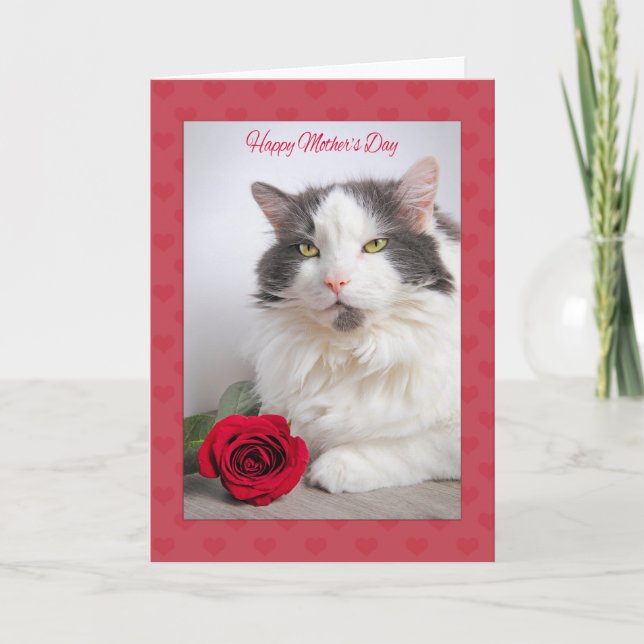 Tarjeta Festiva Feliz día de la madre desde el gato gatito con el  (Anverso)