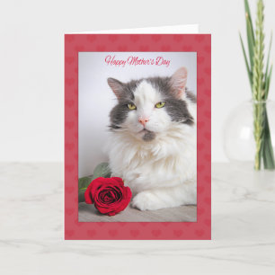 Tarjeta Festiva Feliz día de la madre desde el gato gatito con el 