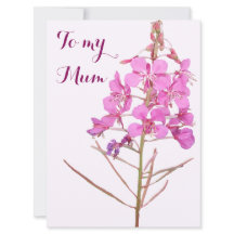 Feliz día de la madre, floral rosa de boho de flor