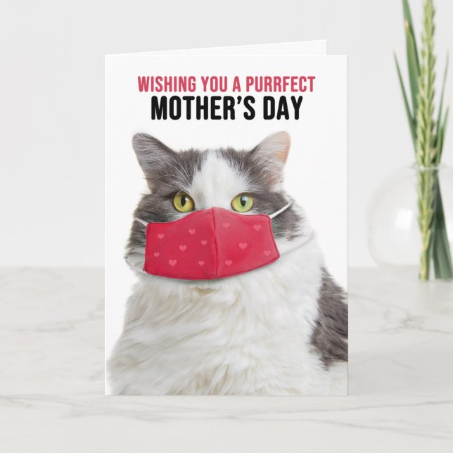 Tarjeta Festiva Feliz Día de la Madre Gato gracioso en una máscara (Anverso)