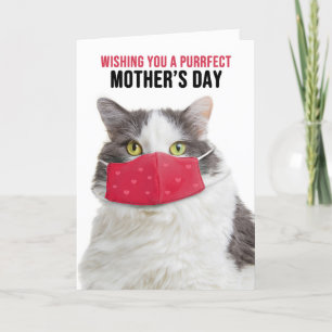Tarjeta Festiva Feliz Día de la Madre Gato gracioso en una máscara
