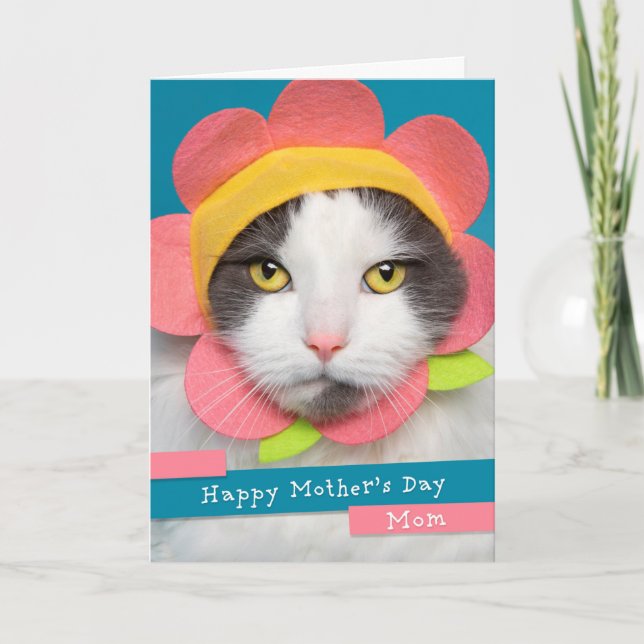 Tarjeta Festiva Feliz día de la madre, mamá se llevó un gato en Go (Anverso)