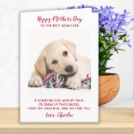 Tarjeta Festiva Feliz Día de la Madre Mejor Madre Foto De Perro Ma<br><div class="desc">¡Feliz Día de la Madre, la mejor madre de perro de todos los tiempos! Dale a mamá una linda y divertida tarjeta de foto personalizada de su mejor amiga. "Feliz Día de la Madre a la Mejor Mamá que nunca ~ Si alguien más fuera mi madre, masticaría sus zapatos, tocaría...</div>