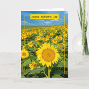 Tarjeta Festiva Feliz Día de las Madres Hermoso Campo de Girasoles