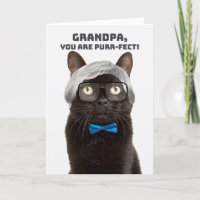 Feliz día de los abuelos Humor del gato del ancian