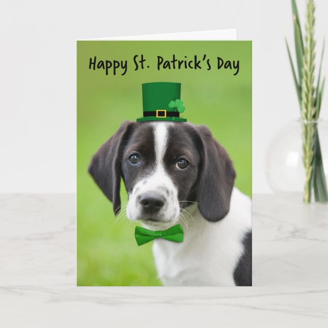 Tarjeta Festiva Feliz día de San Patricio a cualquier cachorro de  (Anverso)