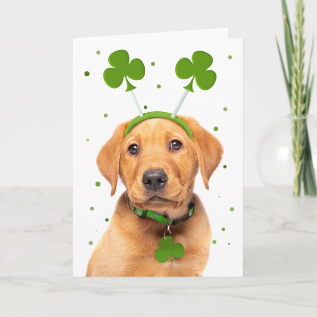 Tarjeta Festiva Feliz día de San Patricio a cualquier perro con di (Anverso)