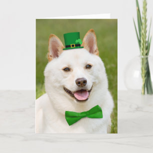 Tarjeta Festiva Feliz Día de San Patricio a cualquiera shiba inu p