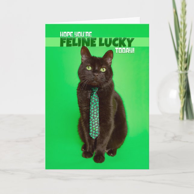 Tarjeta Festiva Feliz día de San Patricio Gato divertido en Trébol (Anverso)