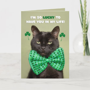 Tarjeta Festiva Feliz Día de San Patricio, humor negro de gato