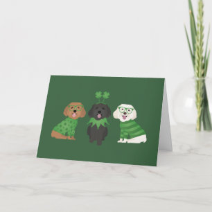 Tarjeta Festiva Feliz día de San Patricio perros Maltipoo
