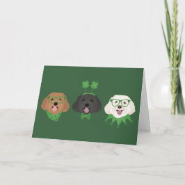 Tarjeta Festiva Feliz día de San Patricio perros Maltipoo