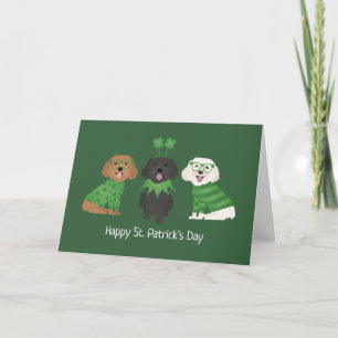 Tarjeta Festiva Feliz día de San Patricio perros Maltipoo