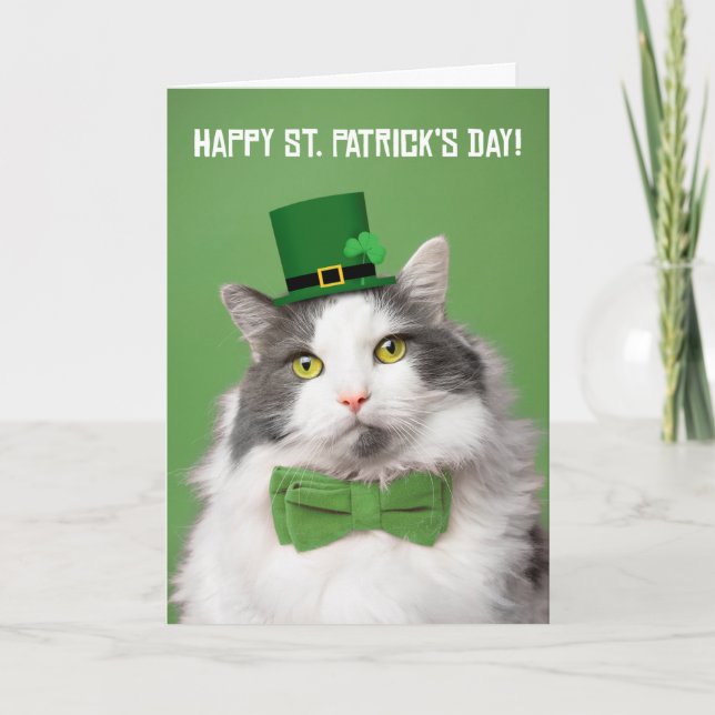 Tarjeta Festiva Feliz Día de San Patrón, Kitty en Verde (Anverso)