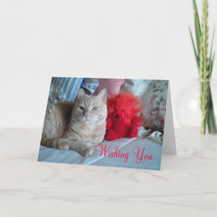Tarjeta Festiva Feliz Día de San Valentín