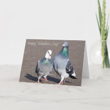 ¡Feliz Día de San Valentín!