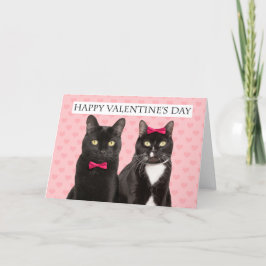 Tarjeta Festiva Feliz Día de San Valentín al humor de dos gatos