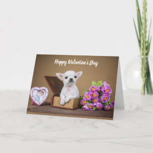 Tarjeta Festiva Feliz día de San Valentín cachorro Chihuahua